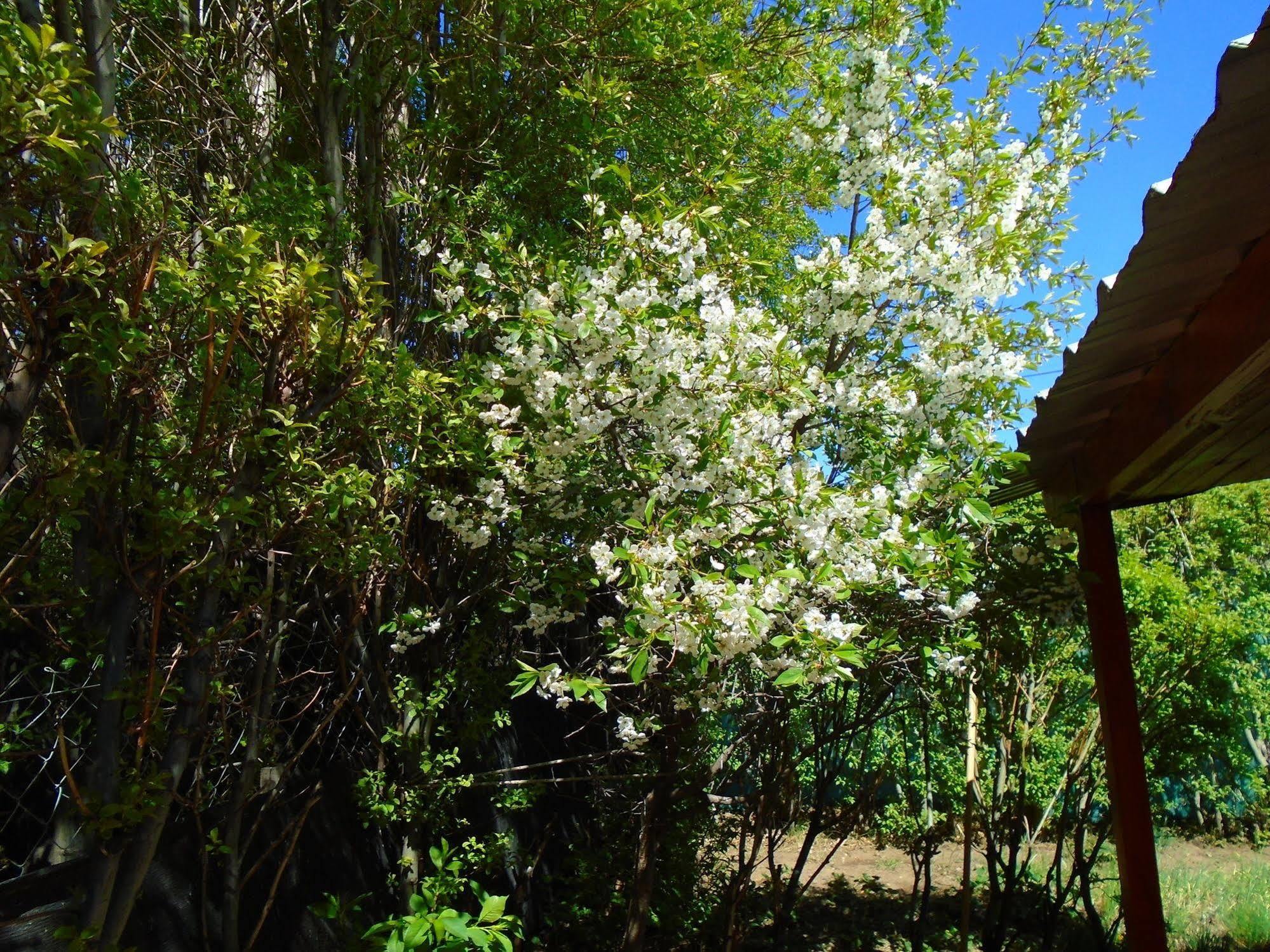 Los Fresnos El Calafate Exterior foto